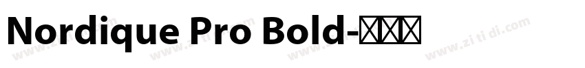 Nordique Pro Bold字体转换